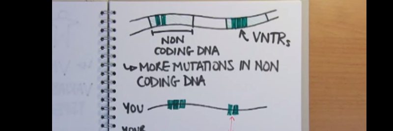 Who Invented DNA Fingerprinting Who Invented DNA Fingerprinting